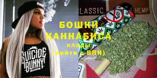 ПСИЛОЦИБИНОВЫЕ ГРИБЫ Баксан