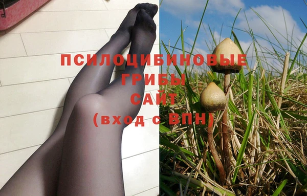 ПСИЛОЦИБИНОВЫЕ ГРИБЫ Баксан