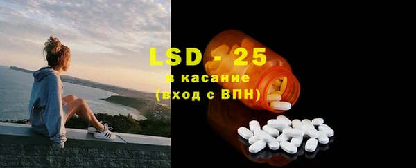 ПСИЛОЦИБИНОВЫЕ ГРИБЫ Баксан